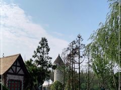 -东平国家森林公园