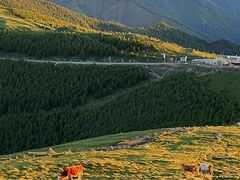 -五台山风景名胜区