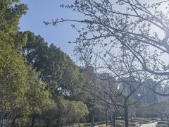 -新江湾城公园