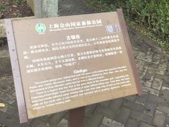 -上海佘山国家森林公园天马山园