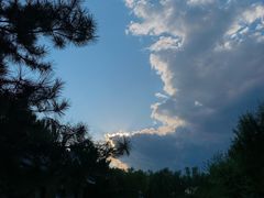 -大兴滨河森林公园