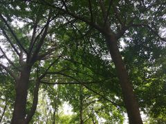 -共青国家森林公园-售票处