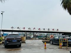 -大湾区中央湿地公园-十九涌