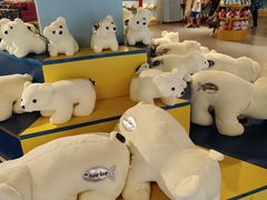 -北戴河圣蓝海洋公园