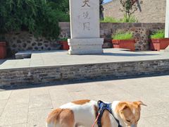 -大境门景区