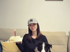 -翊宠yipet猫狗购宠庄园犬舍•猫舍