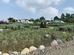 -紫颐香薰山谷景区