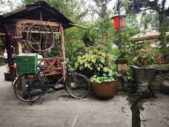 -青城甲(青城山店)