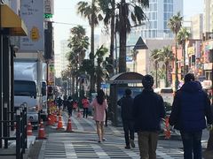 -宝健路步行街(Pedestrian Shopping Street)