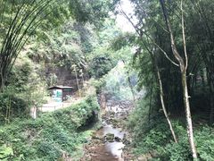 -川西竹海景区