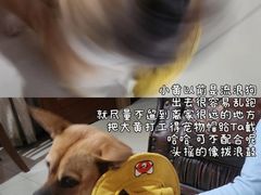 -瑞虹新天地月亮湾
