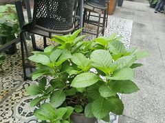 -时光乌托邦空中花园·川味·礼宴(星汇两江店)