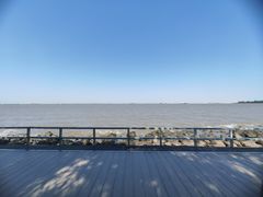-上海吴淞炮台湾国家湿地公园