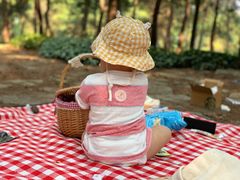 -铁山坪森林公园