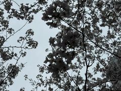 -星湖街(地铁站)