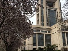-西安交通大学(雁塔校区)