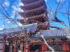 -浅草寺