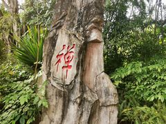 -深圳国际园林花卉博览园