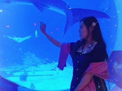 -烟台海昌鲸鲨海洋公园