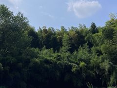 -杭州植物园