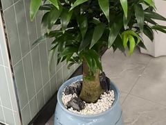 -胖子鱼·油泼甘谷辣子炝活鱼(秦州407店)