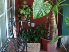 小岛房-娜娜度假小旅馆