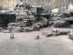 -柳州市动物园