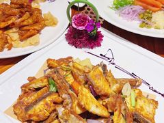 -顺德了能馆(虎门店)