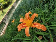 -广州神农草堂中医药博物馆