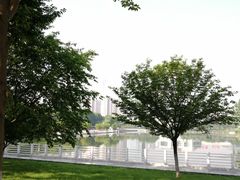 -后襄河公园