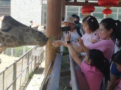 -石家庄市动物园