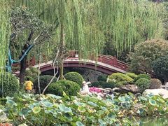 -华清宫景区