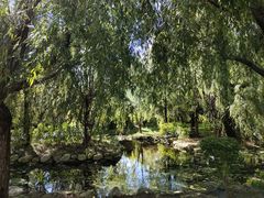 -洱海月湿地公园