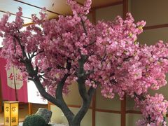 -汤泉良子(马连道店)