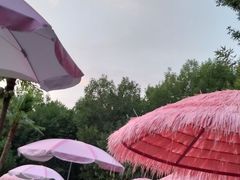 -奥帕拉拉水公园