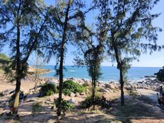 -广东惠东海龟国家级自然保护区