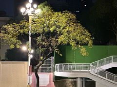 -广州中山纪念堂