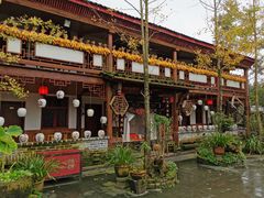 -青城甲(青城山店)