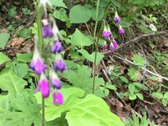 -白草畔自然风景区