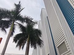 -奥林匹克体育中心游泳馆