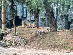 -五龙山野生动物王国