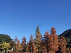 -广州市石门国家森林公园