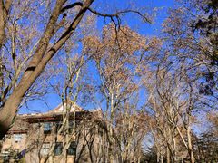 -山东师范大学(千佛山校区)