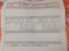 -中环花鸟鱼虫市场
