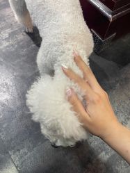 -無名发艺