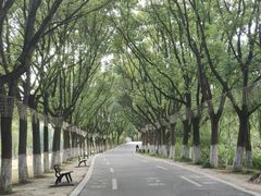 -沙家浜风景区