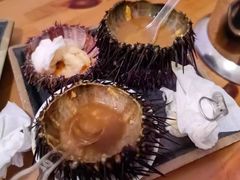 -海胆小馆(东北水饺·春柳店)