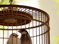 -31号公馆(黄兴广场白果园店)