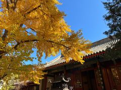 -红螺寺