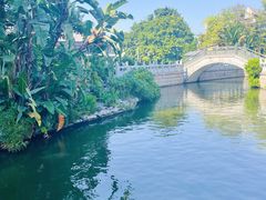 -荔湾湖公园